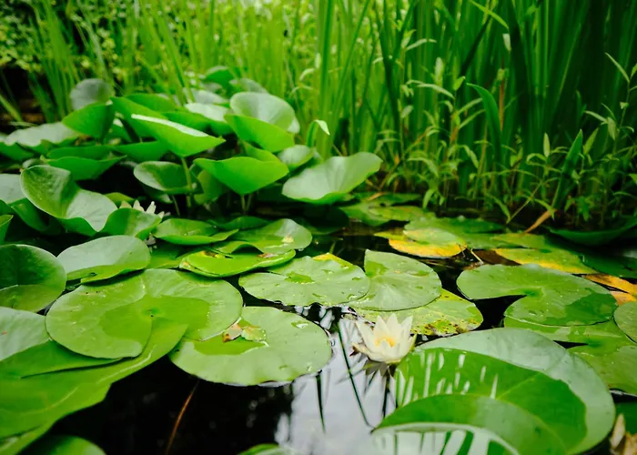 Гостевой дом Anno 1900 Babelsberg 3*